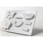 SG01 Surgical Guide - смола за 3D принтиране на хирургични водачи - 1кг.